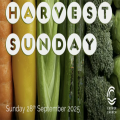 Harvest Sunday (All In Service)